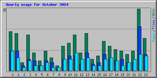 Hourly usage for October 2024
