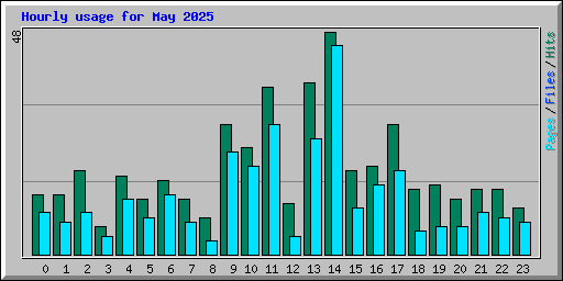Hourly usage for May 2025